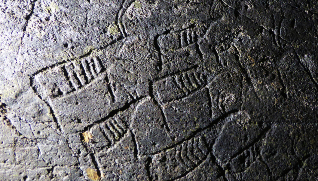 48 helleristninger fra steinalderen røper blant annet en reinflokk. Dyrene går i samme retning - det kan tyde på at noen ville fortelle at det gikk et reintrekk her for rundt 7000 år siden. (Foto: Jan Magne Gjerde, Tromsø Museum – Universitetsmuseet) 48 helleristninger fra steinalderen røper blant annet en reinflokk. Dyrene går i samme retning - det kan tyde på at noen ville fortelle at det gikk et reintrekk her for rundt 7000 år siden. (Foto: Jan Magne Gjerde, Tromsø Museum – Universitetsmuseet)