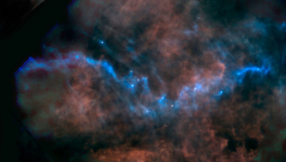 Nye stjerner dannes der den interstellare gassen og støvet er kaldest slik at det kan falle sammen av sin egen tyngde og antennes til en stjerne. (Foto: ESA/Herschel/SPIRE/M. Juvela (U. Helsinki, Finland))