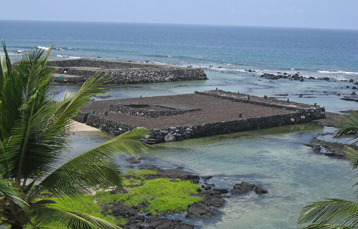 Disse hellige plattformene på Hawaii kalles luakini, og menneske- og dyreofre ble gjort her. (Foto: W Nowicki/CC BY 3.0) Disse hellige plattformene på Hawaii kalles luakini, og menneske- og dyreofre ble gjort her. (Foto: W Nowicki/CC BY 3.0)
