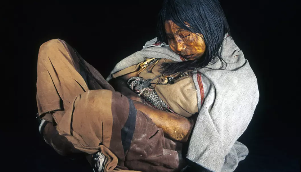 Llull-kvinnen, en svært godt bevart mumie fra Argentina. Kvinnen døde for 500 år siden, og ble funnet i 1999. DNA fra denne kvinnen har blitt brukt i det nye forskningsprosjektet. (Foto: Johan Reinhard)