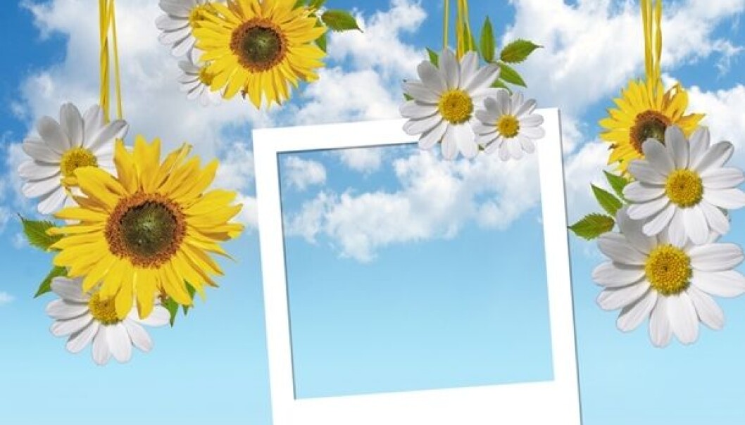 (Illustration: Colourbox) (Illustration: Colourbox)