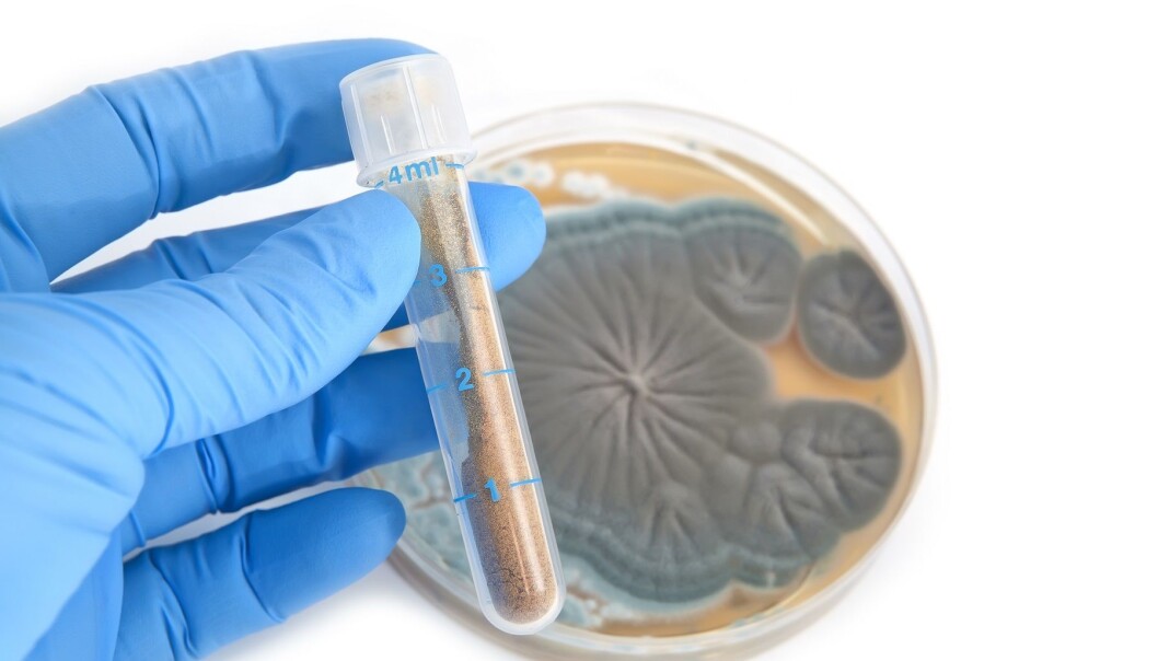 Penicillin ble oppdaget nærmest ved et uhell, men har reddet utallige liv. (Illustrasjonsfoto: Colourbox) Penicillin ble oppdaget nærmest ved et uhell, men har reddet utallige liv. (Illustrasjonsfoto: Colourbox)