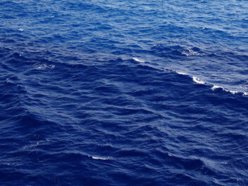 Increased precipitation as a result of climate change means that more murky fresh water mixes with the coastal water, making it less saline and murkier. (Photo: Colourbox) Increased precipitation as a result of climate change means that more murky fresh water mixes with the coastal water, making it less saline and murkier. (Photo: Colourbox)