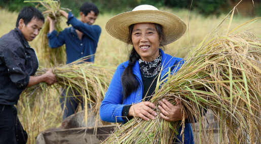 Samarbeider om bærekraftig matproduksjon i Kina