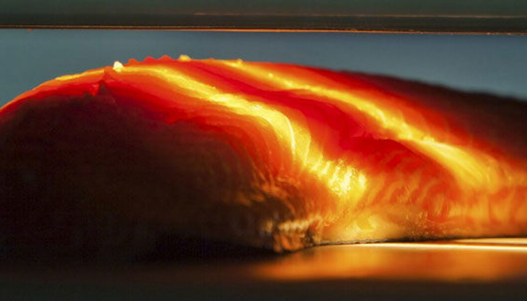 The study mapped causes of changes in the light spectrum. (Foto: Marius Fiskum) The study mapped causes of changes in the light spectrum. (Foto: Marius Fiskum)