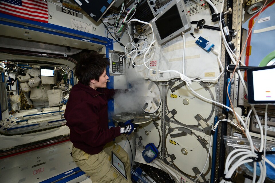 Samantha Christoforetti, ESAs italienske astronaut, åpner fryseren som holder minus 90 grader på romstasjonen. Her lagres forsøk frem til de kan sendes tilbake til jorda. (Foto: ESA/NASA)
