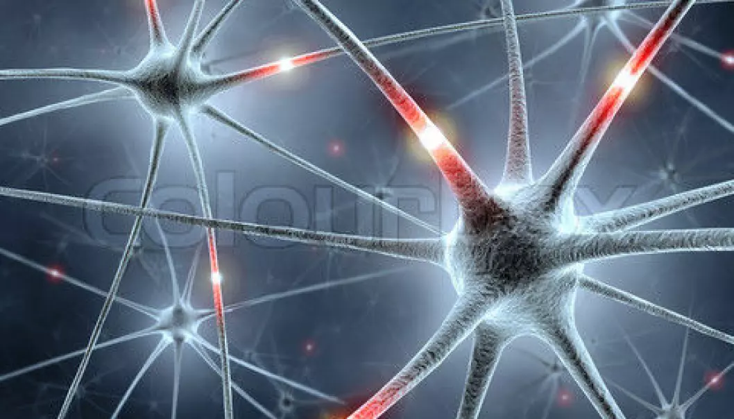 Our brains contain more than 100,000 billion synapses. (Illustration photo: Colourbox)