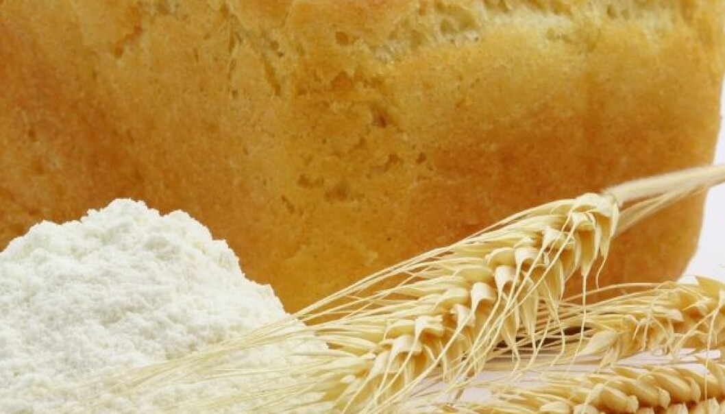 Healthy new whole grain products requires closer collaboration between research centres, grain producers, millers, bakers and consumers. (Photo: Colourbox) Healthy new whole grain products requires closer collaboration between research centres, grain producers, millers, bakers and consumers. (Photo: Colourbox)