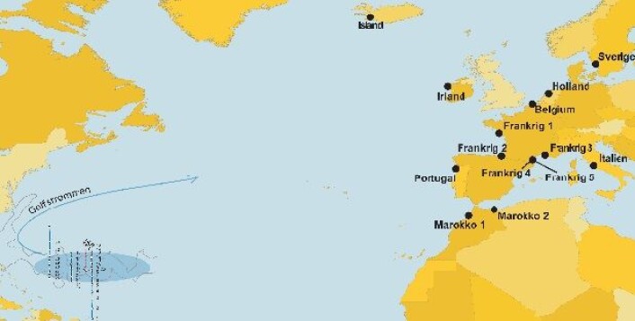 Kartet viser hvor europeisk ål drar for å gyte. (Foto: (Illustrasjon: Line Reeh og Peter Bondo Christensen)) Kartet viser hvor europeisk ål drar for å gyte. (Foto: (Illustrasjon: Line Reeh og Peter Bondo Christensen))