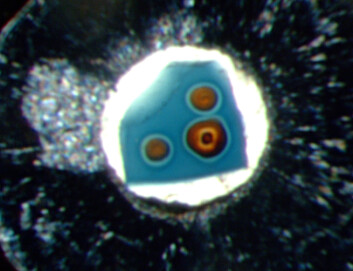 Vann fanget i et mineral inne i en diamant under høyt trykk i laboratoriet. En slik diamant fra over 600 kilometer nede i jordskorpa ble funnet i Brasil i 2014. Det tyder på at det finnes flere ganger så mye vann nede i den smeltede steinen som i verdenshavene. (Foto: Steve Jacobsen / Northwestern University) Vann fanget i et mineral inne i en diamant under høyt trykk i laboratoriet. En slik diamant fra over 600 kilometer nede i jordskorpa ble funnet i Brasil i 2014. Det tyder på at det finnes flere ganger så mye vann nede i den smeltede steinen som i verdenshavene. (Foto: Steve Jacobsen / Northwestern University)