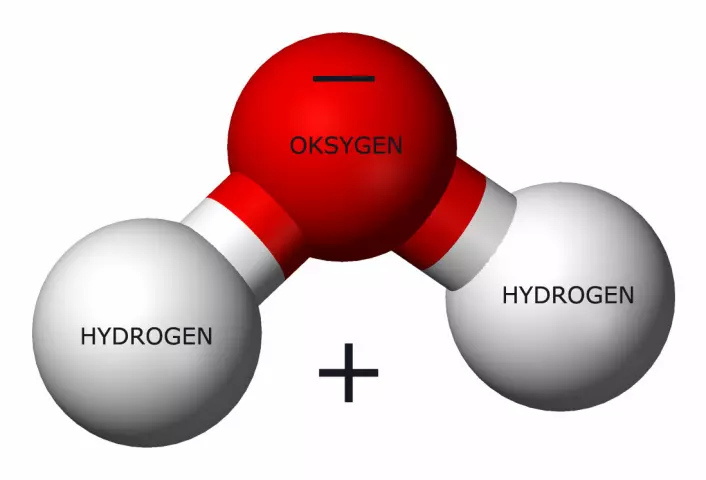 Vannmolekylet har en del med plussladning og en del med minusladning. Disse to ladningene gir vannmolekylet mange av egenskapene som gjør det så livsviktig. (Foto: (Figur: Benjah-bmm27, Wikimedia Commons, bearbeidet av forskning.no))