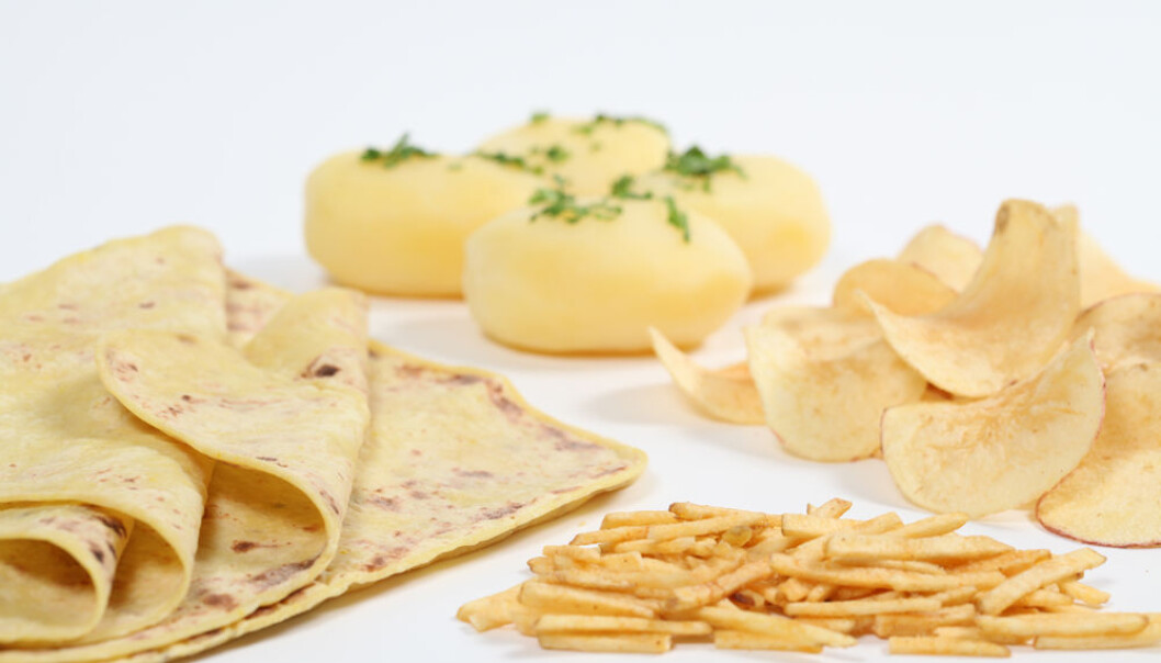 The method and length of cooking potatoes affects both griddle cake dough and other uses for potatoes. The aim is to find the best cooking method for different variations of dry matter and starch content, for example. (Photo: Kjell J. Merok) The method and length of cooking potatoes affects both griddle cake dough and other uses for potatoes. The aim is to find the best cooking method for different variations of dry matter and starch content, for example. (Photo: Kjell J. Merok)