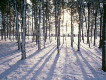 The sun is only a few degrees above the horizon in Scandinavia for about a third of the time over the year as a whole. (Illustration photo: Photos) The sun is only a few degrees above the horizon in Scandinavia for about a third of the time over the year as a whole. (Illustration photo: Photos)