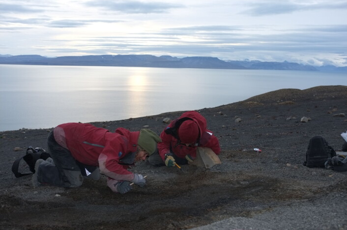 Nille (t.v.) og Julie setter i gang med å børste fram skjelettet av den nye fiskeøgla Nillefanten. Foto: Jørn Hurum Nille (t.v.) og Julie setter i gang med å børste fram skjelettet av den nye fiskeøgla Nillefanten. Foto: Jørn Hurum