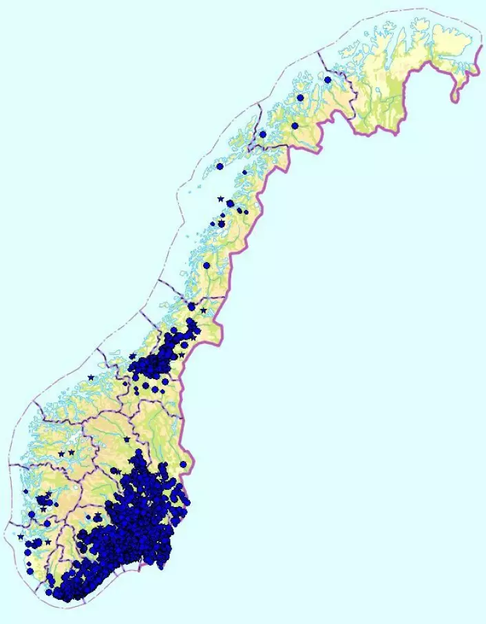 Kart over blåveis, hver blå prikk viser ett funnsted. (Foto: Kilde: Artskart)