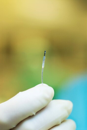 Dagens sensor er 5 mm lang og 0,7 mm i diameter, og kommuniserer med en enhet utenpå kroppen ved hjelp av ledninger. Neste generasjon skal forminskes ytterligere, og kanskje kunne kommunisere trådløst. Foto: Sensocure Dagens sensor er 5 mm lang og 0,7 mm i diameter, og kommuniserer med en enhet utenpå kroppen ved hjelp av ledninger. Neste generasjon skal forminskes ytterligere, og kanskje kunne kommunisere trådløst. Foto: Sensocure