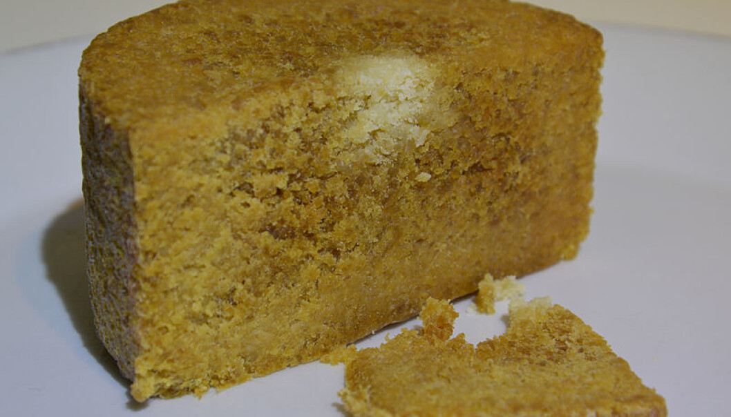 Gamalosten is described it as a Gamalosten is described it as a