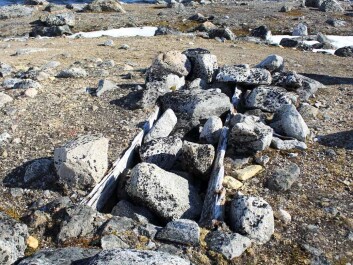Old graves can still be found many places on Svalbard. Here is a grave at Virgo Harbour, not far from Smeerenburg. (Foto: Linn Sollied Madsen) Old graves can still be found many places on Svalbard. Here is a grave at Virgo Harbour, not far from Smeerenburg. (Foto: Linn Sollied Madsen)