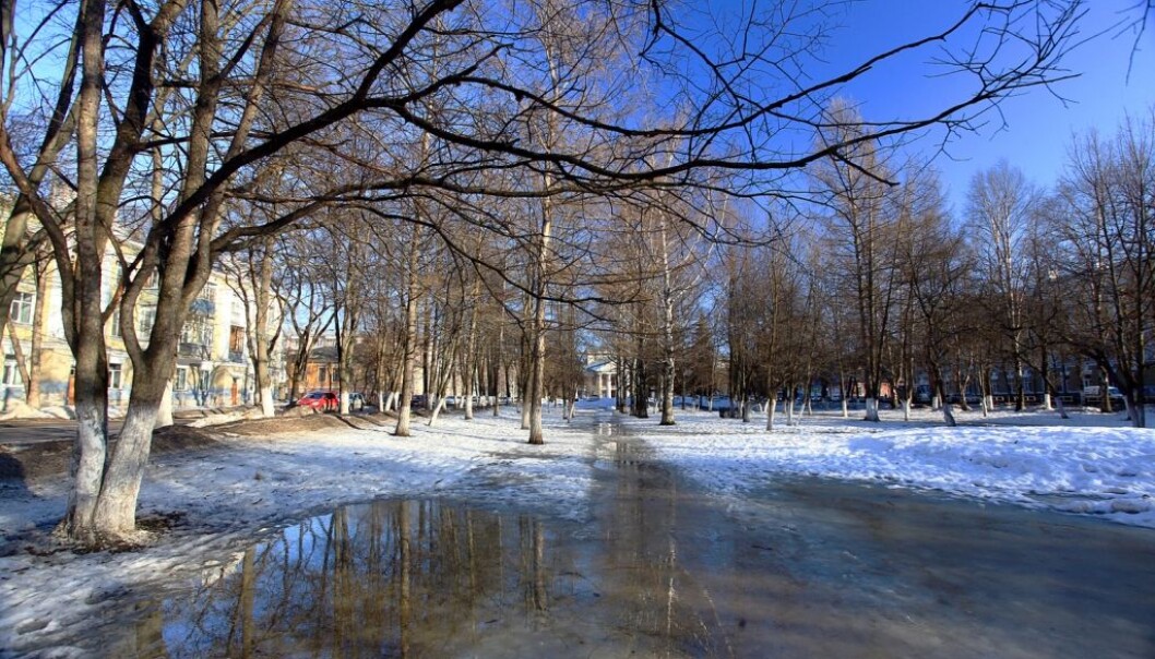 Vil det bli mindre og mindre snø i framtiden? (Foto: Kichigin/Shutterstock/NTB scanpix) Vil det bli mindre og mindre snø i framtiden? (Foto: Kichigin/Shutterstock/NTB scanpix)