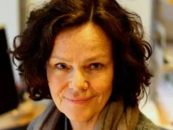 Professor Anne Lise Ellingsæter. (Photo: Anita Haslie)