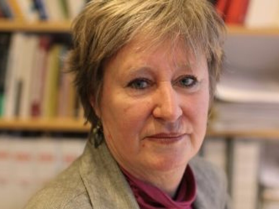 Professor Karin Widerberg. (Photo: Anita Haslie)