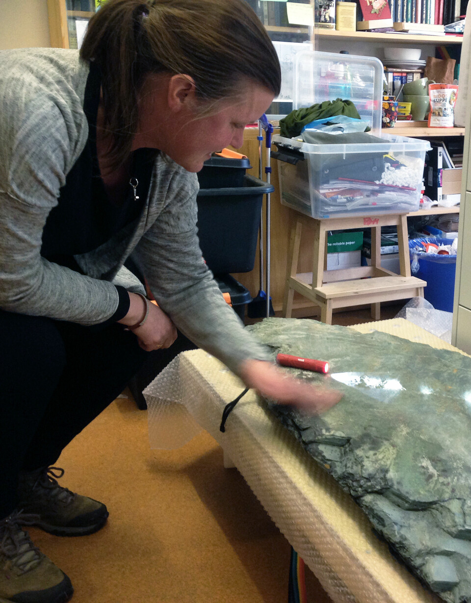 Paleontolog Anette Högström har et stykke havbunn liggende på kontoret. Slik kan hun studere det ubestemmelige fossilet hver dag. (Foto: Ida Kvittingen, forskning.no)