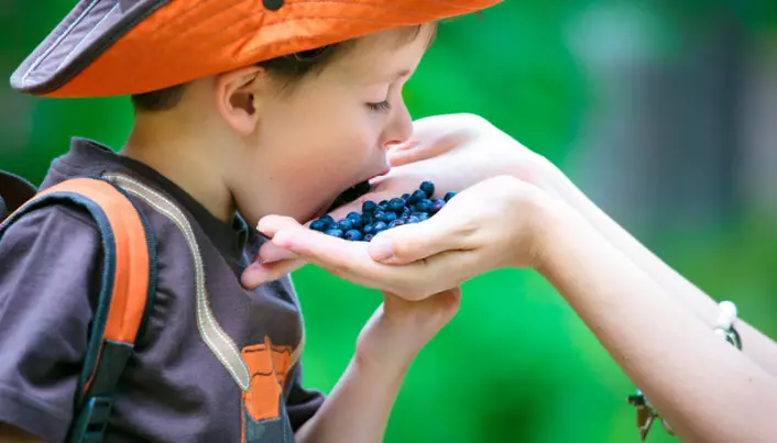 What makes berries so healthy?