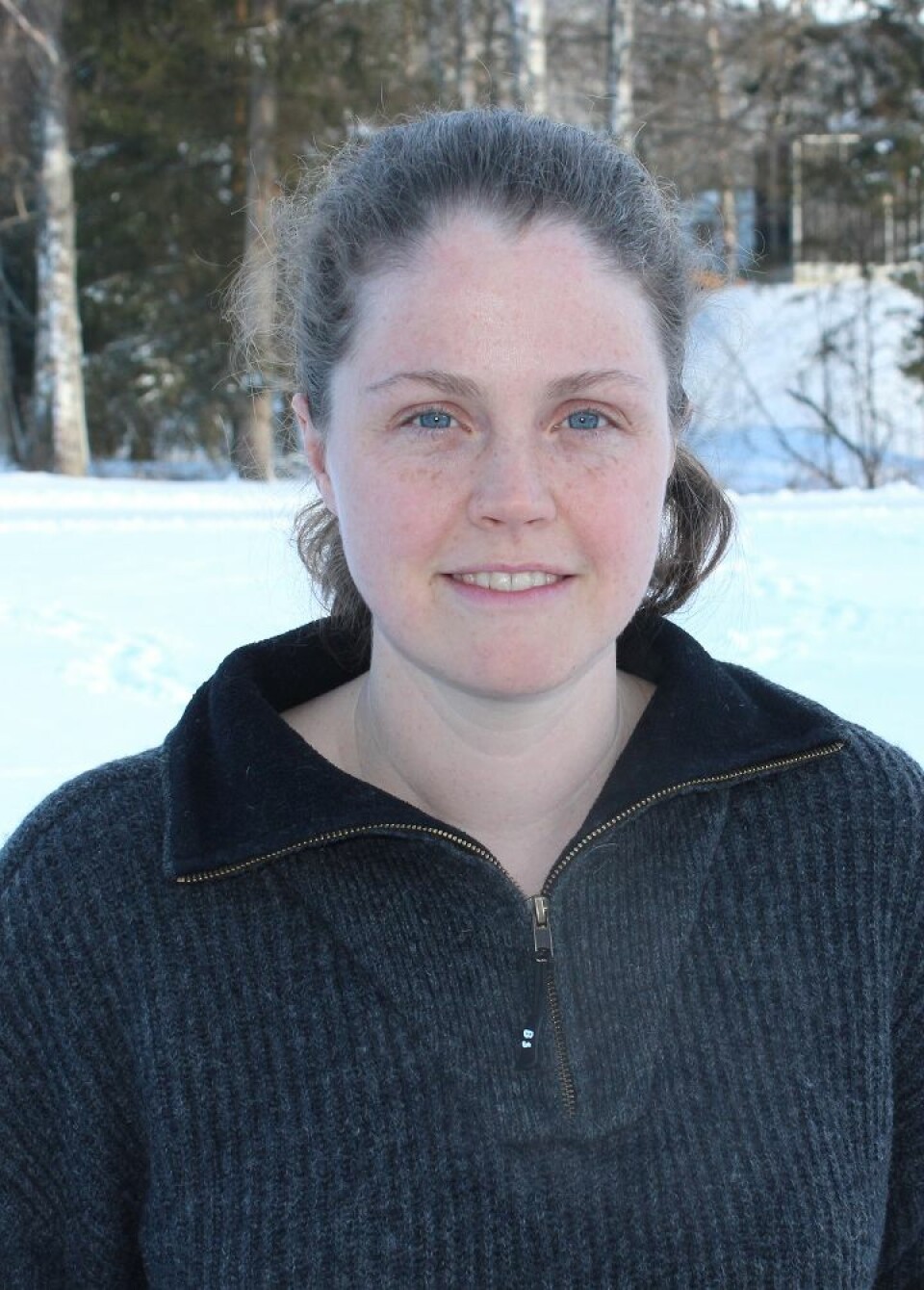 Stipendiat Alina Evans ved Høgskolen i Hedmark, avdeling for anvendt økologi og landbruksfag, har i sitt doktorgradsarbeid studert vintersøvnen hos brunbjørnen. (Foto: HiHe)