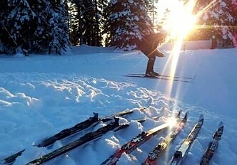 On the ski trail of success or failure