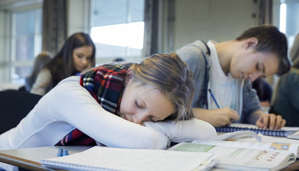 – Uten nok søvn svekkes hjernens funksjon, og dette kan ha store konsekvenser for hvordan vi fungerer når vi er våkne, sier Elvsåshagen. (Foto: Berit Roald/NTB scanpix)