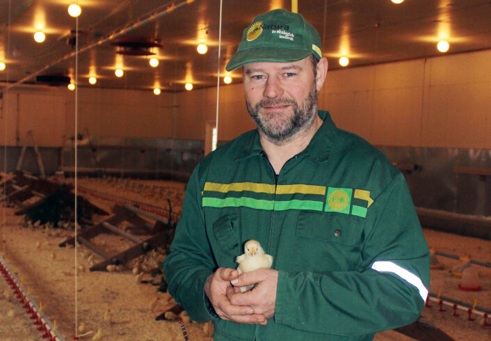 Gardbruker Kjell Frøyland har tro på at kyllinger som får variert kosthold og har god plass holder seg friskere enn de som står tett. (Foto: Privat) Gardbruker Kjell Frøyland har tro på at kyllinger som får variert kosthold og har god plass holder seg friskere enn de som står tett. (Foto: Privat)
