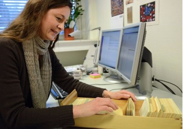 Solveig Wikstrøm, en av redaktørene til Norsk Ordbok, lurte på hvor ordet "skræling" kom fra. Dialektordet hun brukte i Rana dukket opp på en av de små, innsamlede lappene som beskriver bruken av ord rundt omkring i landet. Her fant hun tilbake til røttene. (Foto: Ida Kvittingen) Solveig Wikstrøm, en av redaktørene til Norsk Ordbok, lurte på hvor ordet "skræling" kom fra. Dialektordet hun brukte i Rana dukket opp på en av de små, innsamlede lappene som beskriver bruken av ord rundt omkring i landet. Her fant hun tilbake til røttene. (Foto: Ida Kvittingen)