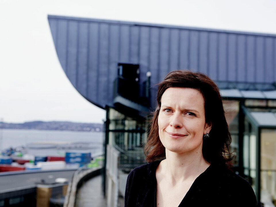 SIUs Head of Department of Communications, Kristin Solheim. (Photo: Paul S. Amundsen/SIU)