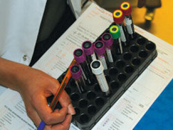 The Generasjon 100 study involves testing blood levels of haemoglobin, glucose, long-term blood sugar, three different types of cholesterol, triglycerides and high-sensitivity C-reactive protein. Researchers hope that participant blood levels, which will be retested over the course of the three-year-long project, will show the benefits of exercise. (Photo: Nancy Bazilchuk) The Generasjon 100 study involves testing blood levels of haemoglobin, glucose, long-term blood sugar, three different types of cholesterol, triglycerides and high-sensitivity C-reactive protein. Researchers hope that participant blood levels, which will be retested over the course of the three-year-long project, will show the benefits of exercise. (Photo: Nancy Bazilchuk)