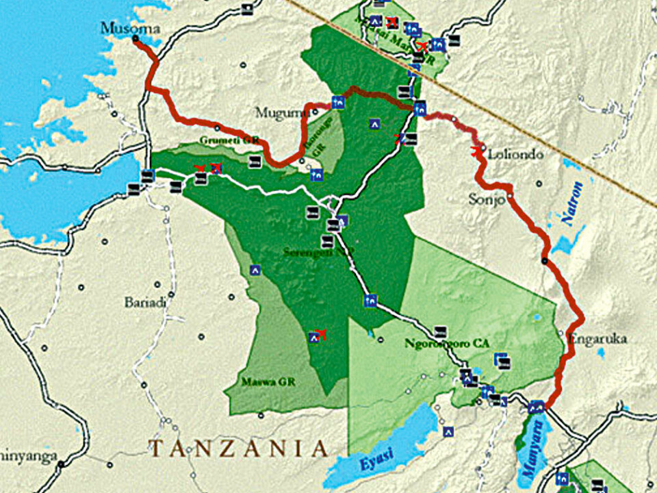 The northern tier road would help take pressure off of Serengeti National Park’s main road, which passes through wildebeest calving areas in the centre of the park. (Map: African Wildlife Foundation)