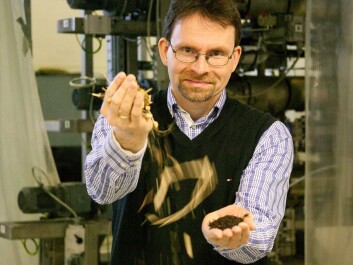 A project led by senior scientist Øyvind Skreiberg is transforming the chopped-off branches and tops of felled spruce trees into a fine powder that is then pressed into high-energy pellets. (Photo: SINTEF / Gry Karin Stimo)
A project led by senior scientist Øyvind Skreiberg is transforming the chopped-off branches and tops of felled spruce trees into a fine powder that is then pressed into high-energy pellets. (Photo: SINTEF / Gry Karin Stimo)