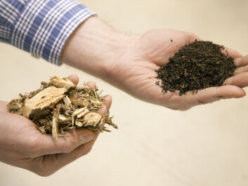 Torrefaction concentrates the energy content of biofuels. Left: chopped-up branches and tops. Right: this type of raw material has been subjected to torrefaction before being ground into a fine-grained mass, which is then pressed into pellets. This contains about 70 per cent of the original mass, while keeping 90 per cent of its energy. (Photo: SINTEF / Gry Karin Stimo)
Torrefaction concentrates the energy content of biofuels. Left: chopped-up branches and tops. Right: this type of raw material has been subjected to torrefaction before being ground into a fine-grained mass, which is then pressed into pellets. This contains about 70 per cent of the original mass, while keeping 90 per cent of its energy. (Photo: SINTEF / Gry Karin Stimo)
