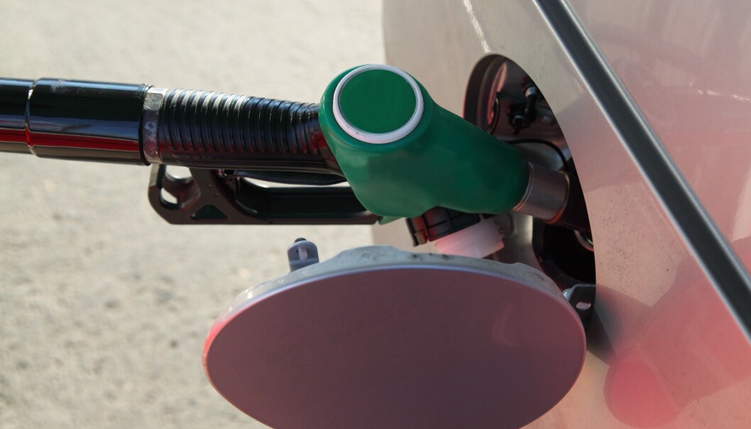 75-80 prosent av det biodrivstoffet som tilsettes i norsk drivstoff kommer fra produksjon av palmeolje. (Illustrasjonsfoto: Colourbox) 75-80 prosent av det biodrivstoffet som tilsettes i norsk drivstoff kommer fra produksjon av palmeolje. (Illustrasjonsfoto: Colourbox)