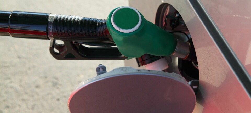 75-80 prosent av det biodrivstoffet som tilsettes i norsk drivstoff kommer fra produksjon av palmeolje. (Illustrasjonsfoto: Colourbox)