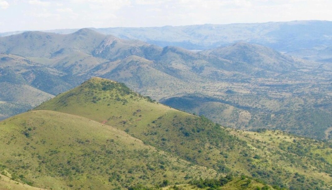 Dei fleste trur at jorda vart skapt under svært varme tilhøve. Nye funn i Barberton Greenstone Belt i Sør-Afrika skapar ein ny teori, med eit mykje kaldare klima ein tidlegare trudd. (Foto: Harald Furnes) Dei fleste trur at jorda vart skapt under svært varme tilhøve. Nye funn i Barberton Greenstone Belt i Sør-Afrika skapar ein ny teori, med eit mykje kaldare klima ein tidlegare trudd. (Foto: Harald Furnes)