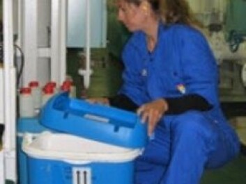 Researcher Stephanie Delacroix during shipboard testing of ballast water management system. (Photo: NIVA) Researcher Stephanie Delacroix during shipboard testing of ballast water management system. (Photo: NIVA)