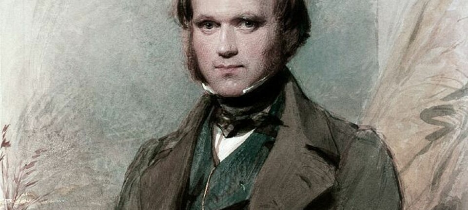 Portrett av en ung Charles Darwin etter at han kom i land med HMS Beagle. Hvordan ville evolusjonsteorien hans sett ut dersom han ikke hadde blitt med på reisen? (Portrett: George Richmond/Wikimedia commons)