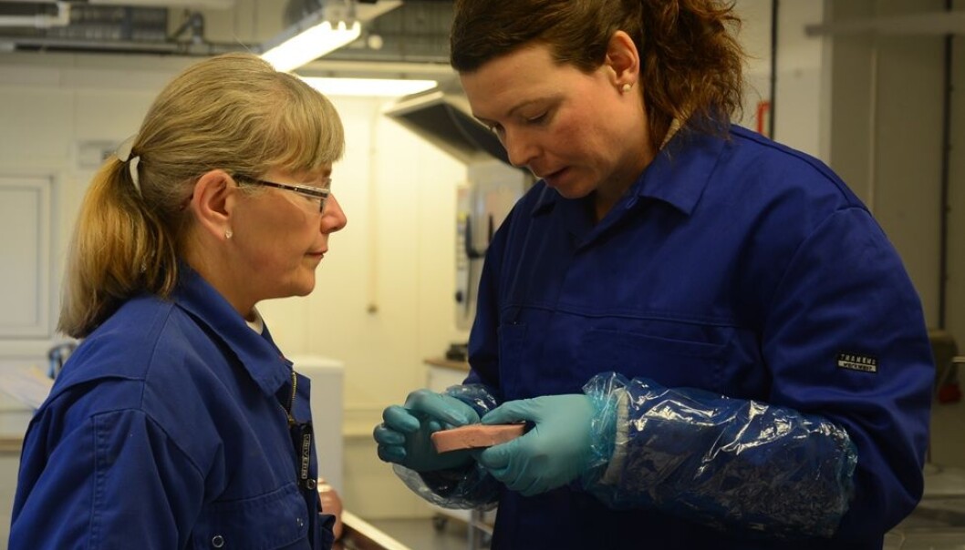 Researchers Marte Schei (left) and Kirsti Greiff of SINTEF Fisheries and Aquaculture are studying the sodium content of cooked ham. (Photo: SINTEF) Researchers Marte Schei (left) and Kirsti Greiff of SINTEF Fisheries and Aquaculture are studying the sodium content of cooked ham. (Photo: SINTEF)