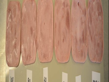 Salt improves the taste, retains water and preserves food. But how much of the sodium content can be reduced without affecting the taste and product properties of cooked ham. (Photo: SINTEF) Salt improves the taste, retains water and preserves food. But how much of the sodium content can be reduced without affecting the taste and product properties of cooked ham. (Photo: SINTEF)
