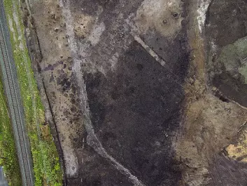 Aerial photo of the surveyed location. The dark areas are soil layers from the farm Vik. (Photo: Kaare Grytting, NTNU University Museum)