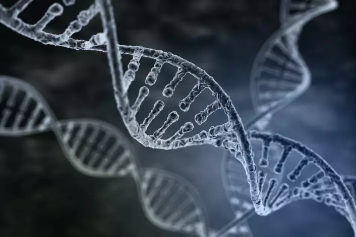 En effektiv og billig teknologi for å endre på genene våre er i frammarsj. Men hvordan virker egentlig teknologien? (Foto: (Illustrasjon: Tatiana Shepeleva/Shutterstock/NTB scanpix))
