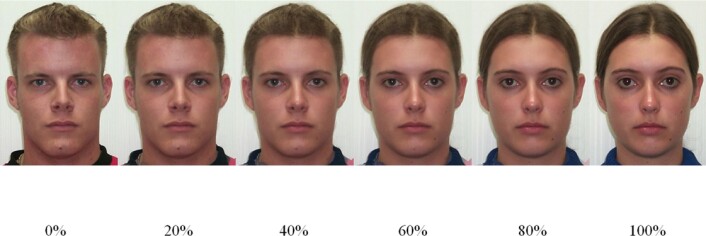 Dette var ansiktene deltakerne skulle vurdere. Bildet ytterst til venstre er av en mann og bildet ytterst til høyre er av en kvinne. Alle bildene i midten er manipulerte varianter med varierende grad av maskuline og feminine trekk. (Foto: Plos One) Dette var ansiktene deltakerne skulle vurdere. Bildet ytterst til venstre er av en mann og bildet ytterst til høyre er av en kvinne. Alle bildene i midten er manipulerte varianter med varierende grad av maskuline og feminine trekk. (Foto: Plos One)