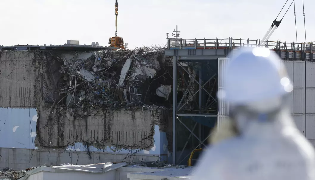 Hvor radioaktiv er fisken etter atomulykken i Japan?