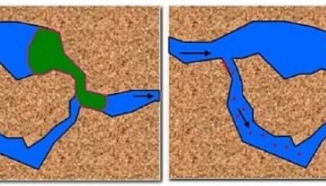 Left: The density gradient between particles and water slows the particles’ movement through the winding passages within the rock. The particles accumulate and consolidate at bottleneck points to block the rock pores. The pressure builds in adjacent pores, forcing out the oil (shown in green). Right: Once the oil is freed, the surrounding pressure drops. The blockages gradually dissolve and the polymer particles commence flowing with the water. (Illustration: CIPR) Left: The density gradient between particles and water slows the particles’ movement through the winding passages within the rock. The particles accumulate and consolidate at bottleneck points to block the rock pores. The pressure builds in adjacent pores, forcing out the oil (shown in green). Right: Once the oil is freed, the surrounding pressure drops. The blockages gradually dissolve and the polymer particles commence flowing with the water. (Illustration: CIPR)