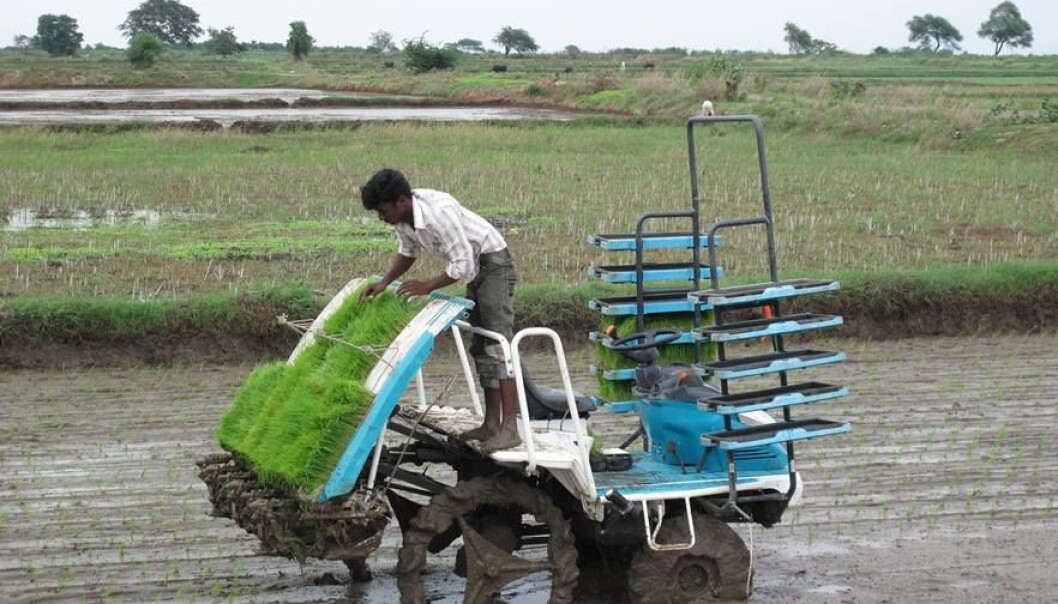 A mechanical transplanter in operation in Andhra Pradesh. (Photo: Ragnar Våga Pedersen, Bioforsk) A mechanical transplanter in operation in Andhra Pradesh. (Photo: Ragnar Våga Pedersen, Bioforsk)